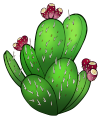 Cactus Counselling logo: prickly pear Cactus Counselling logo: prickly pear